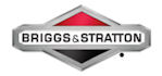 Briggs & Stratton